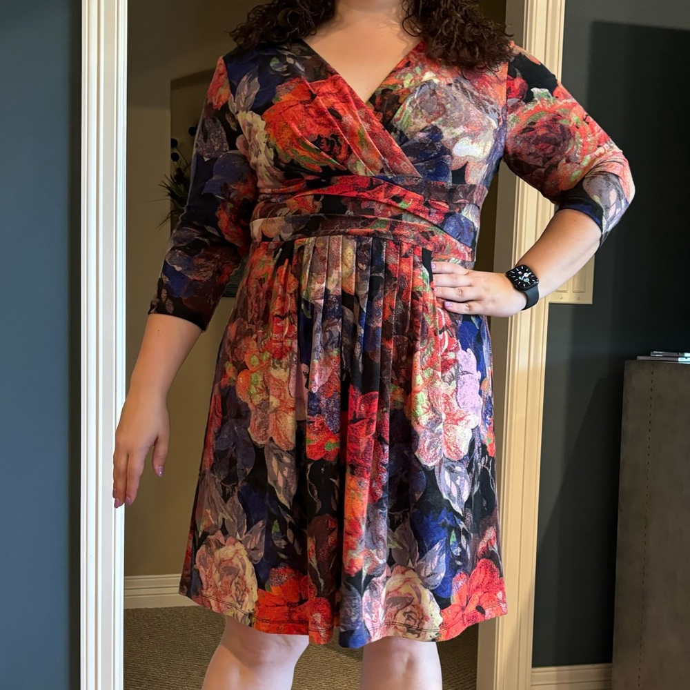 Adriana Papell Size 16 Mutli Color Dress